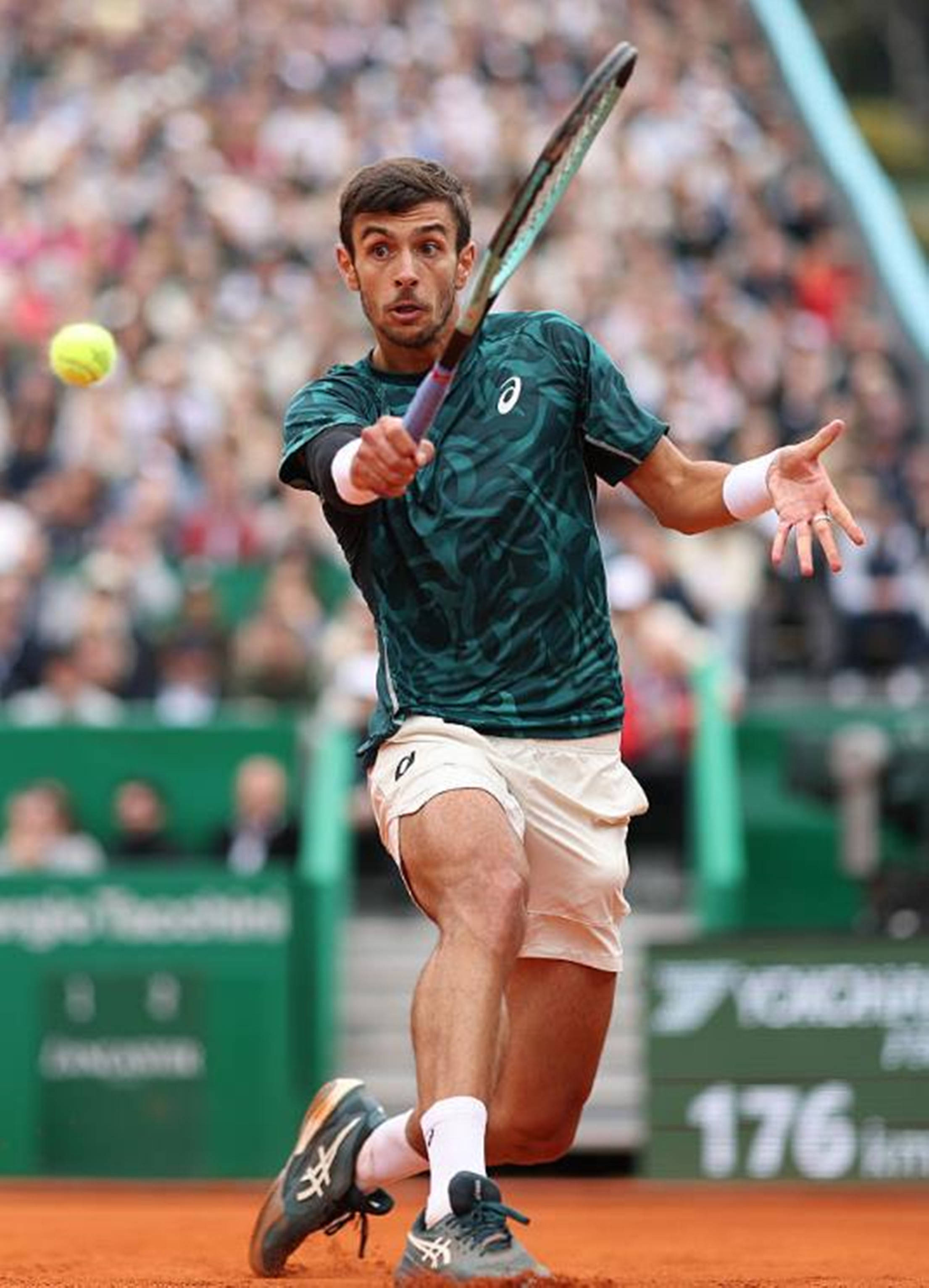 的表现正在 的表现正在